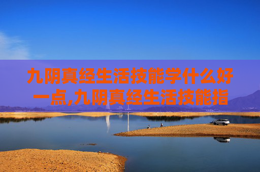 九阴真经生活技能学什么好一点,九阴真经生活技能指南，如何高效学习与应用？