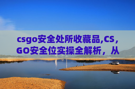 csgo安全处所收藏品,CS，GO安全位实操全解析，从策略布局到风险控制，全方位指南