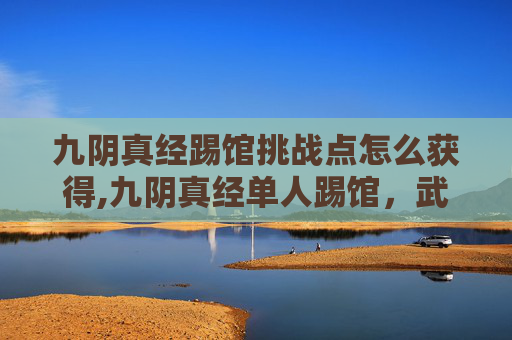 九阴真经踢馆挑战点怎么获得,九阴真经单人踢馆，武侠世界中的终极对决