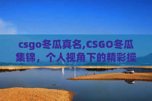 csgo冬瓜真名,CSGO冬瓜集锦，个人视角下的精彩操作与赛场魅力全解析