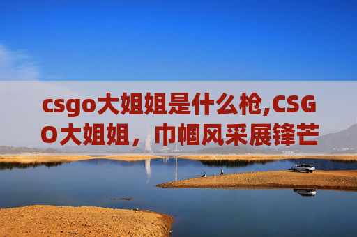 csgo大姐姐是什么枪,CSGO大姐姐，巾帼风采展锋芒，赛场魅力引共鸣