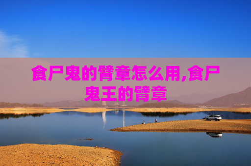 食尸鬼的臂章怎么用,食尸鬼王的臂章