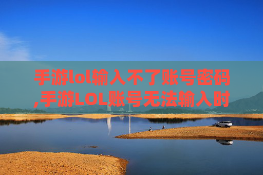 手游lol输入不了账号密码,手游LOL账号无法输入时的全方位解决方案，从排查到修复，一步步解决数据衔接难题
