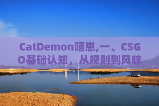 CatDemon喵崽,一、CSGO基础认知，从规则到风味的全面理解