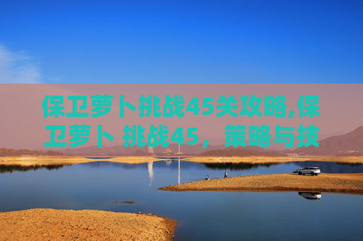 保卫萝卜挑战45关攻略,保卫萝卜 挑战45,策略与技巧的完美结合 保卫萝卜挑战45关攻略,保卫萝卜 挑战45,策略与技巧的完美结合