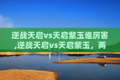 逆战天启vs天启紫玉谁厉害,逆战天启vs天启紫玉，两种极致战术风格的对局碰撞与博弈分析