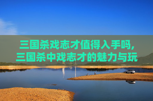 三国杀戏志才值得入手吗,三国杀中戏志才的魅力与玩法深度解析