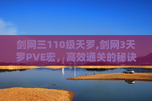 剑网三110级天罗,剑网3天罗PVE宏,高效通关的秘诀 剑网三110级天罗,剑网3天罗PVE宏,高效通关的秘诀