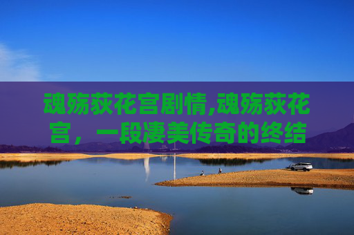 魂殇荻花宫剧情,魂殇荻花宫，一段凄美传奇的终结