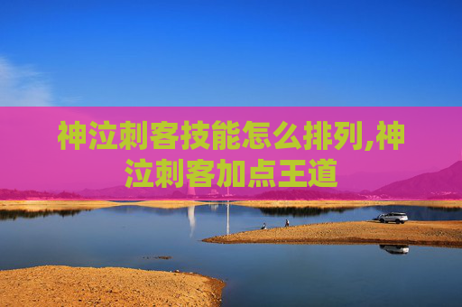 神泣刺客技能怎么排列,神泣刺客加点王道