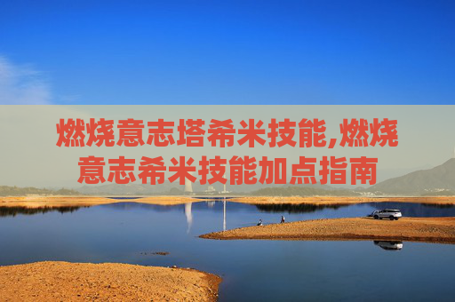 燃烧意志塔希米技能,燃烧意志希米技能加点指南