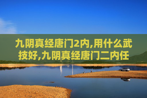 九阴真经唐门2内,用什么武技好,九阴真经唐门二内任务，揭秘武侠世界的秘密