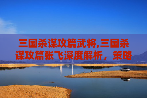 三国杀谋攻篇武将,三国杀谋攻篇张飞深度解析，策略与技能的博弈之旅