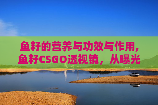 鱼籽的营养与功效与作用,鱼籽CSGO透视镜，从曝光率洼地到商业机遇的破局，解析鱼籽游戏在竞品赛道中的突围路径