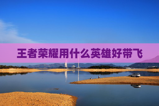 王者荣耀用什么英雄好带飞