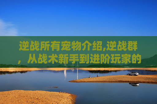 逆战所有宠物介绍,逆战群，从战术新手到进阶玩家的全维度解析，探索其在逆战游戏中的独特定位与成长路径