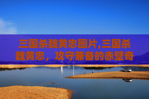 三国杀魏黄忠图片,三国杀魏黄忠，攻守兼备的赤壁奇才，三国战场的多维解读与深度剖析