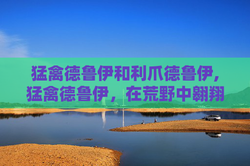 猛禽德鲁伊和利爪德鲁伊,猛禽德鲁伊，在荒野中翱翔的神秘力量