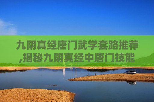 九阴真经唐门武学套路推荐,揭秘九阴真经中唐门技能的奥秘