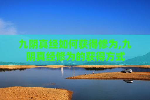 九阴真经如何获得修为,九阴真经修为的获得方式