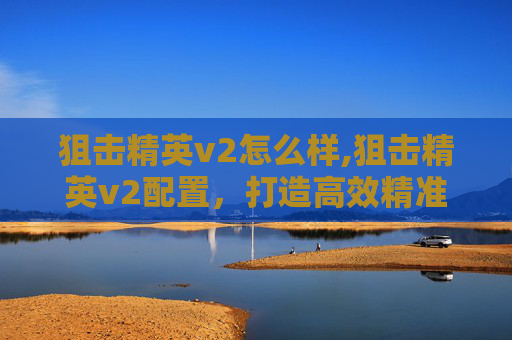 狙击精英v2怎么样,狙击精英v2配置，打造高效精准的射击利器