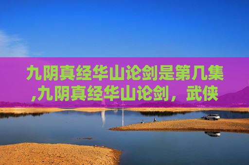 九阴真经华山论剑是第几集,九阴真经华山论剑，武侠世界的终极对决