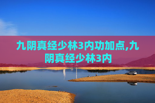 九阴真经少林3内功加点,九阴真经少林3内