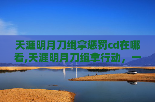 天涯明月刀缉拿惩罚cd在哪看,天涯明月刀缉拿行动，一场正义与邪恶的较量