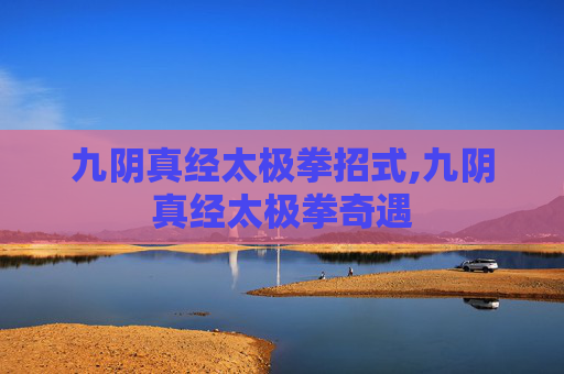 九阴真经太极拳招式,九阴真经太极拳奇遇