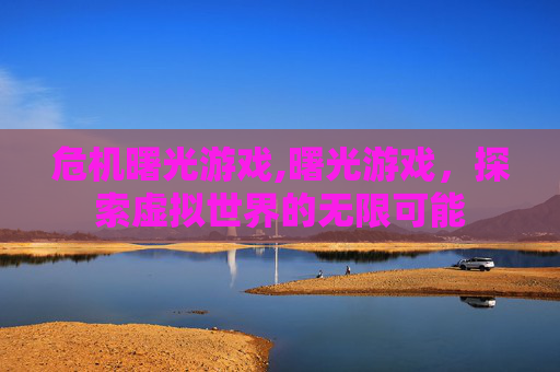 危机曙光游戏,曙光游戏，探索虚拟世界的无限可能