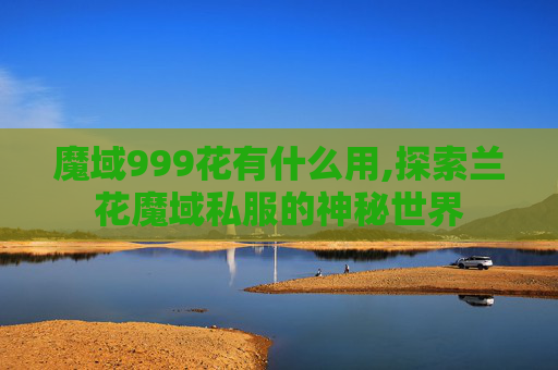 魔域999花有什么用,探索兰花魔域私服的神秘世界