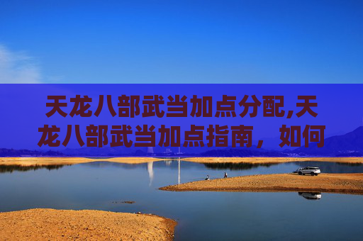 天龙八部武当加点分配,天龙八部武当加点指南，如何平衡输出与防御