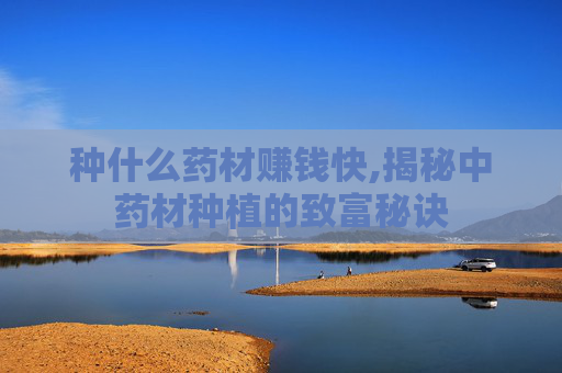 种什么药材赚钱快,揭秘中药材种植的致富秘诀