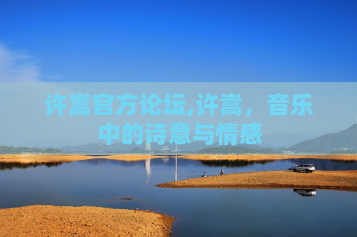 许嵩官方论坛,许嵩，音乐中的诗意与情感