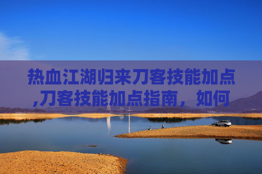 热血江湖归来刀客技能加点,刀客技能加点指南，如何提升你的战斗能力