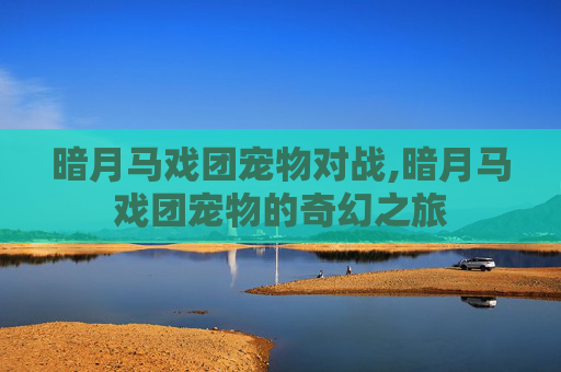 暗月马戏团宠物对战,暗月马戏团宠物的奇幻之旅