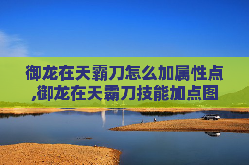 御龙在天霸刀怎么加属性点,御龙在天霸刀技能加点图攻略