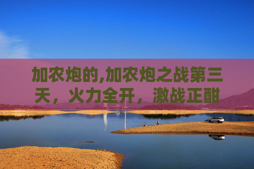 加农炮的,加农炮之战第三天，火力全开，激战正酣