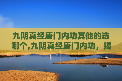 九阴真经唐门内功其他的选哪个,九阴真经唐门内功，揭秘武林中的隐秘力量