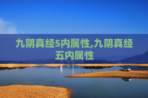九阴真经5内属性,九阴真经五内属性