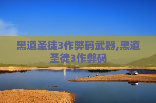 黑道圣徒3作弊码武器,黑道圣徒3作弊码