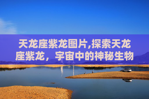 天龙座紫龙图片,探索天龙座紫龙，宇宙中的神秘生物与天文奇观