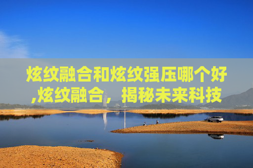炫纹融合和炫纹强压哪个好,炫纹融合,揭秘未来科技的神秘力量
