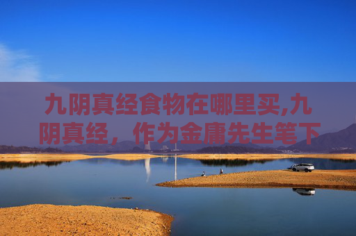 九阴真经食物在哪里买,九阴真经，作为金庸先生笔下的武侠世界经典之作，不仅以其深厚的武学内涵和复杂的江湖纷争吸引着无数读者，更在文化层面留下了深远的影响。其中，九阴真经不仅是一本武功秘籍，更是一段传奇故事的象征