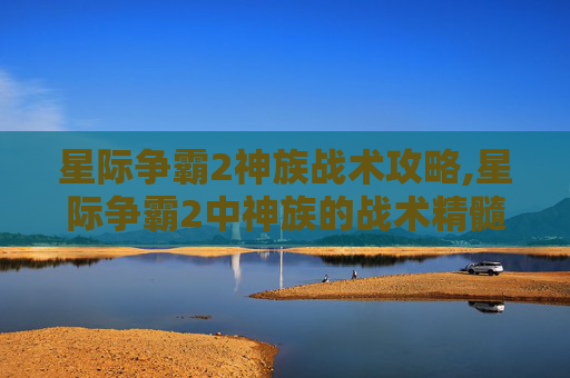 星际争霸2神族战术攻略,星际争霸2中神族的战术精髓与实战应用