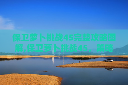 保卫萝卜挑战45完整攻略图解,保卫萝卜挑战45，策略与技巧全解析