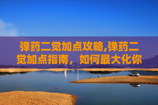 弹药二觉加点攻略,弹药二觉加点指南，如何最大化你的弹药潜能
