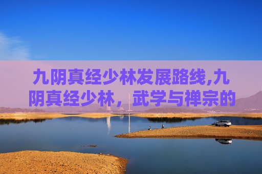 九阴真经少林发展路线,九阴真经少林，武学与禅宗的完美融合