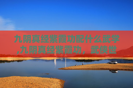 九阴真经紫霞功配什么武学,九阴真经紫霞功，武侠世界中的神秘武学