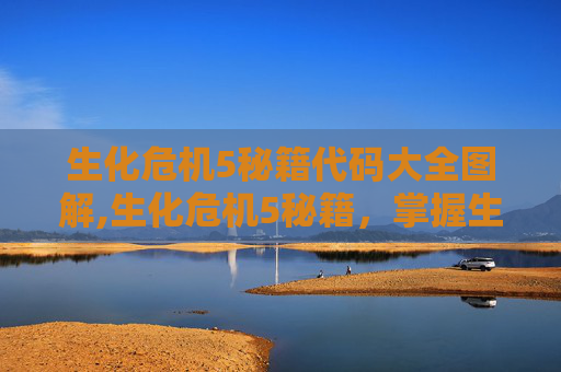 生化危机5秘籍代码大全图解,生化危机5秘籍，掌握生存技巧，成为最后的幸存者